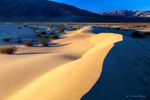 Mesquite Dunes-6149.jpg